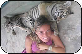 Tiger Kingdom